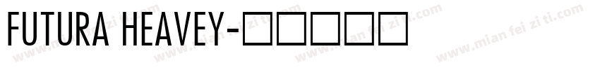 FUTURA HEAVEY字体转换